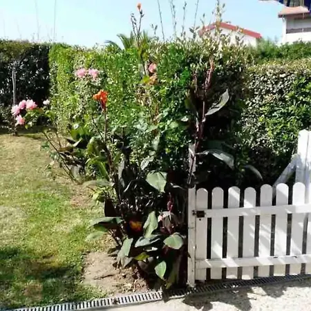 Appartement Chic A Avec Vue Sur Montagnes - 70 M²